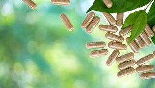 ALTERhubs-Supplements1