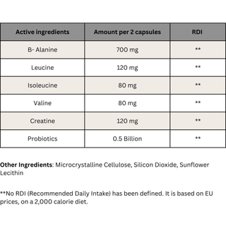 EASTAR - Maestro 90 Capsules - ALTERhubs - The Wellness Store